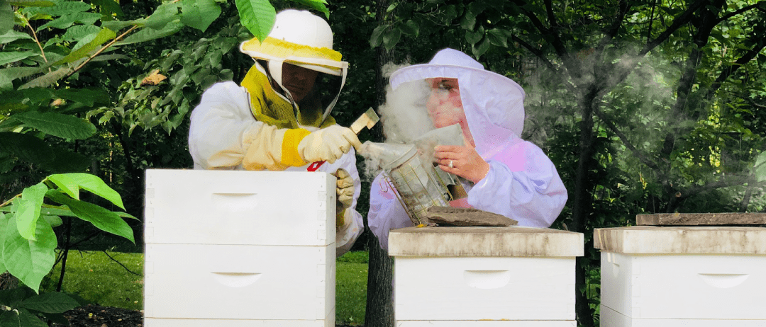 The Ultimate Guide for Beekeeping Beginners