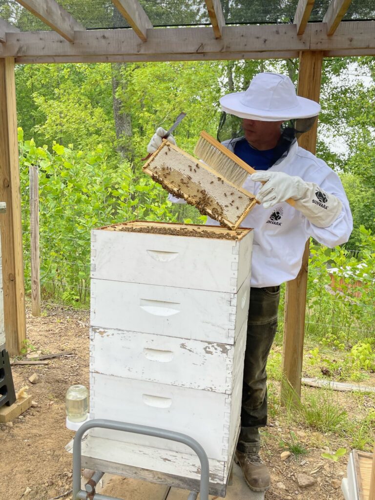 Beekeeper using protective clothing.