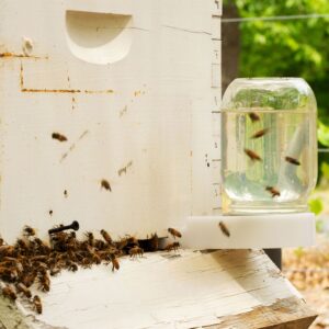 Boardman Feeder