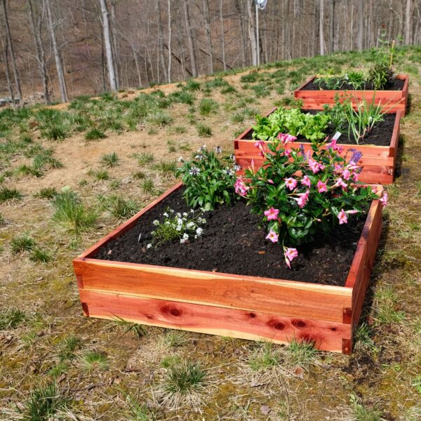 Raised Garden Bed - Image 5