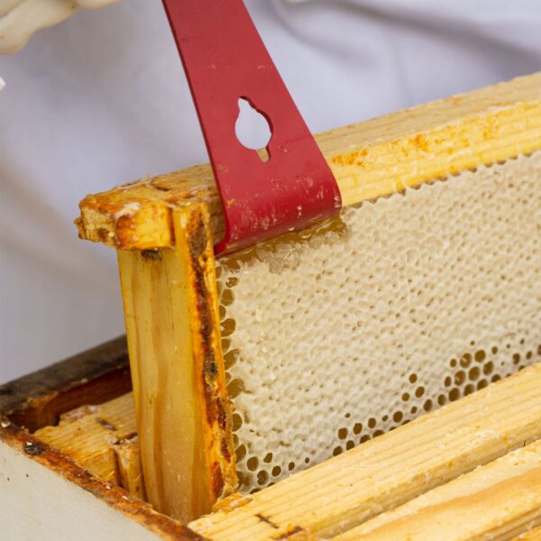 Hive Tool 2-Pack - Image 2