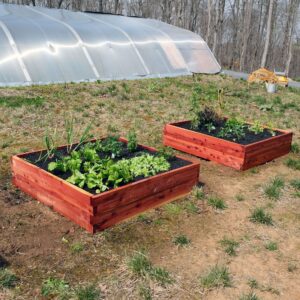 Raised Garden Bed