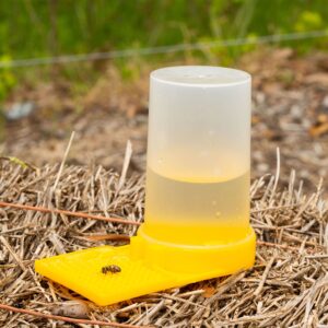 Bee Water Dispenser