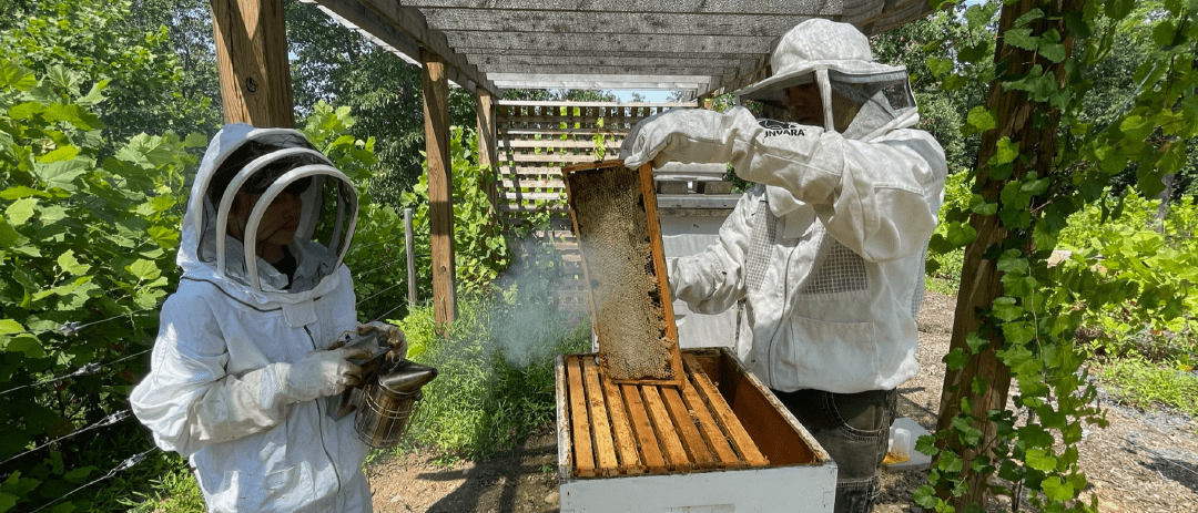 Top 10 Best Gifts for Beekeepers 