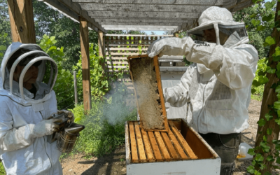 Top 10 Best Gifts for Beekeepers 